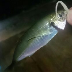 爆風ライトゲーム