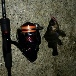 長距離ランガン!!