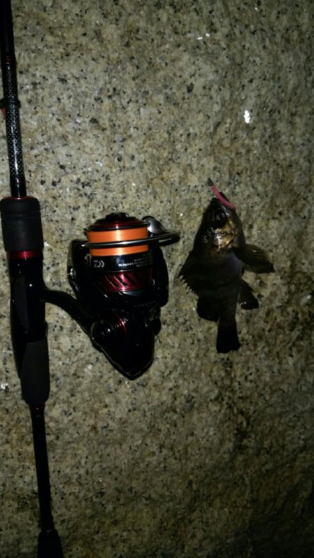 長距離ランガン!!