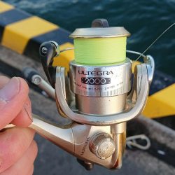 釣り部 釣行記 7