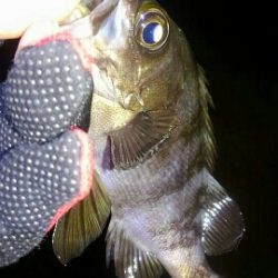 ２日連続25アップ