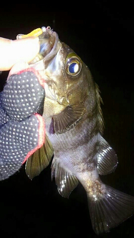 ２日連続25アップ