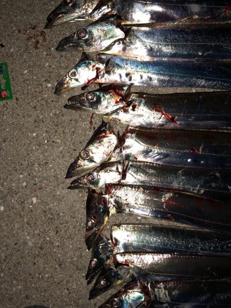 連日またまたタッチー(^^)