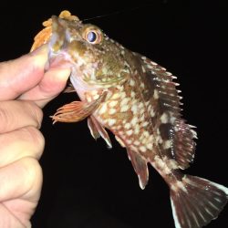 ワームでボトム