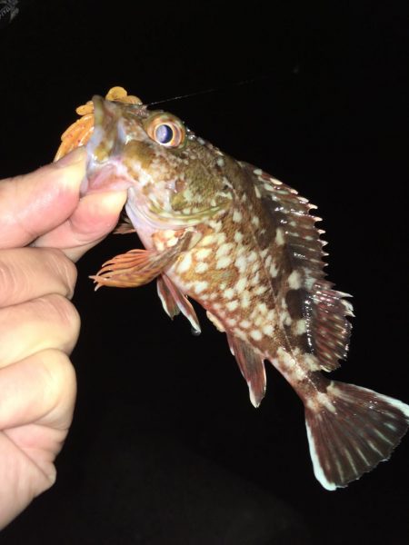 ワームでボトム