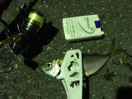 アジング成功！