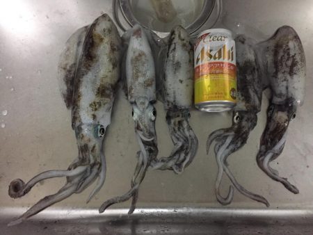 久々淡路エギング