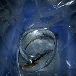 ベイトは多いけど、、