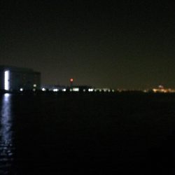 流木に邪魔され無念