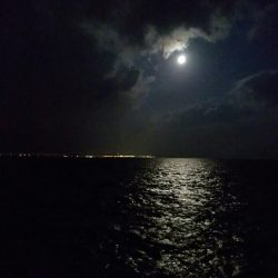 初チヌ！年無し！？