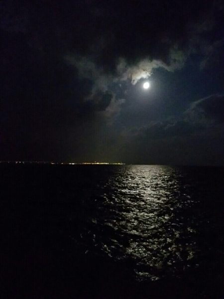 初チヌ！年無し！？