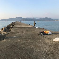 津田沖一文字でアジ、チヌ