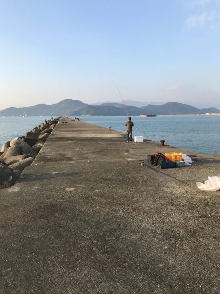 津田沖一文字でアジ、チヌ