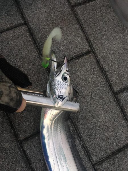 大阪奥湾ワインド ただ巻きパターン