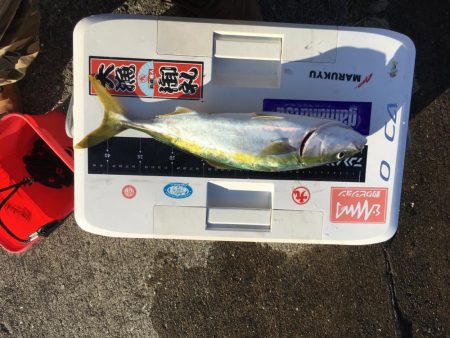 久礼にて磯フカセ釣り