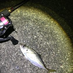 強風ライトゲーム