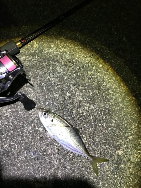 強風ライトゲーム