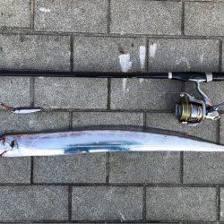 シーバス〜タチウオワインド〜LSJ