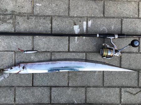 シーバス〜タチウオワインド〜LSJ