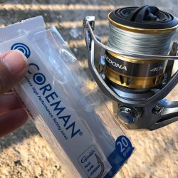 美浜大橋下 シーバス