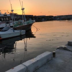 どんだけー釣れる！