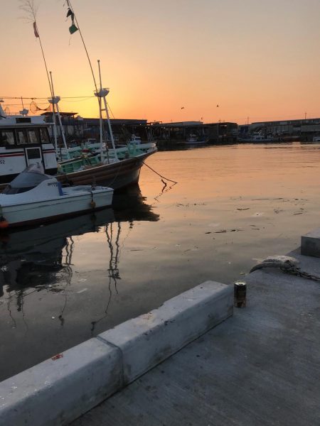 どんだけー釣れる！