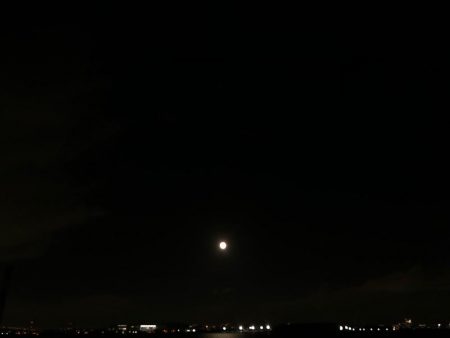 今日もタッチー(^。^)