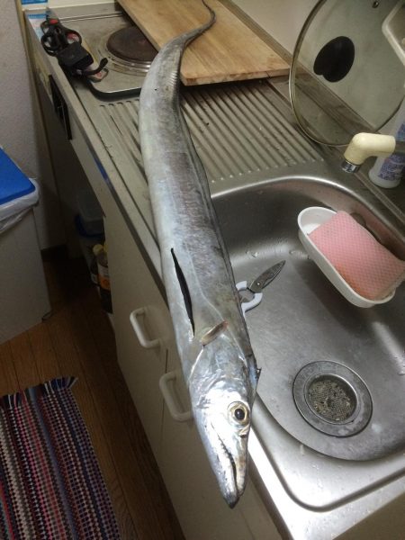 ドラゴン出ました