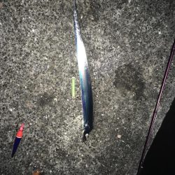 寒いけど暖かい楽しいタチウオ釣り