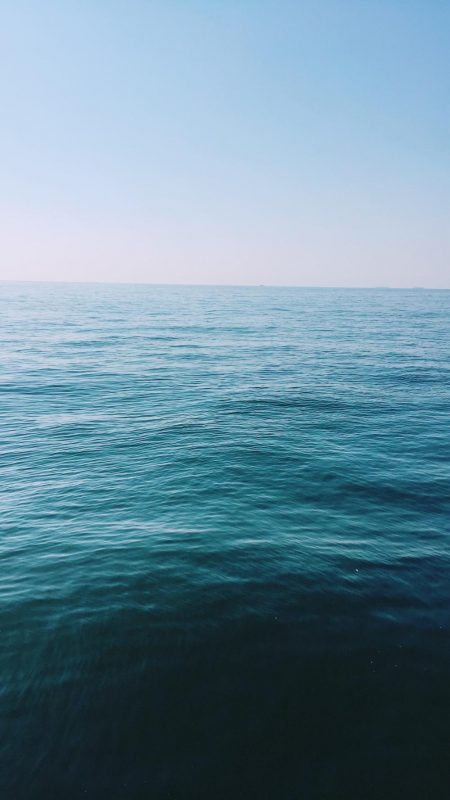 久しぶりの武庫一