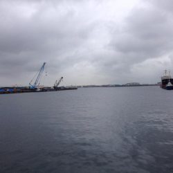 またまた一匹…