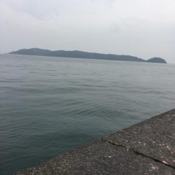 5ヒット2キャッチ したしぶりに楽しんだ