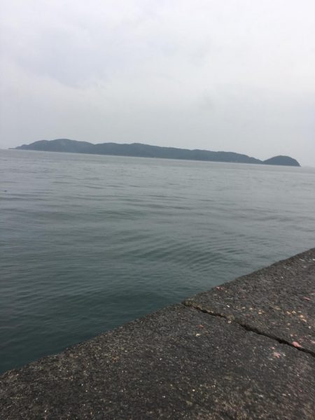 5ヒット2キャッチ したしぶりに楽しんだ