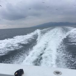 釣り人家さんタチウオ釣り