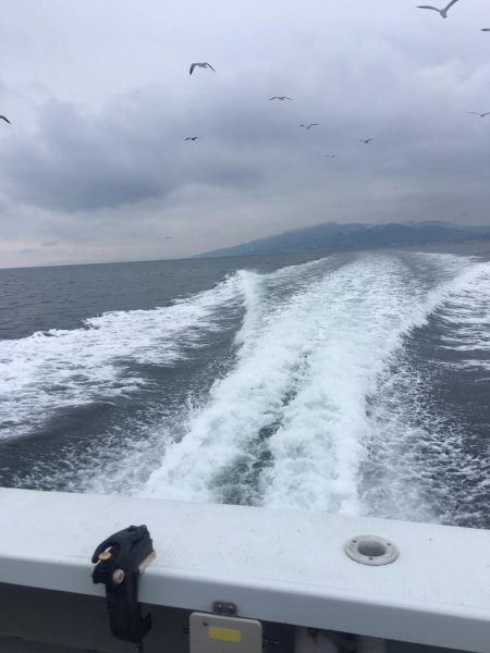 釣り人家さんタチウオ釣り