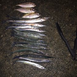 アジング…ついでに…