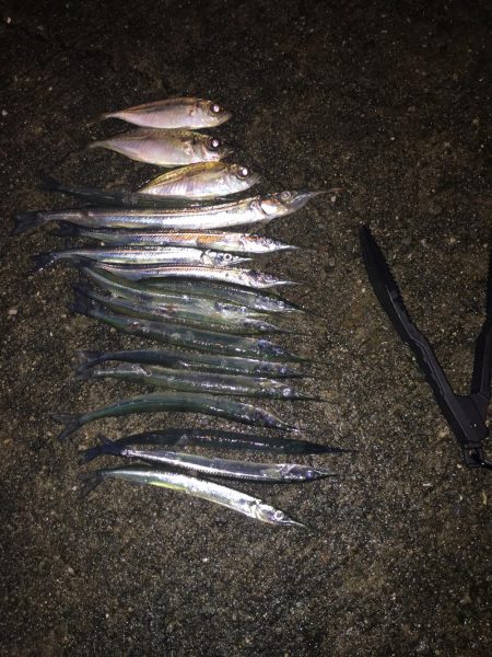 アジング…ついでに…