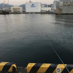 タチウオ釣りリベンジ