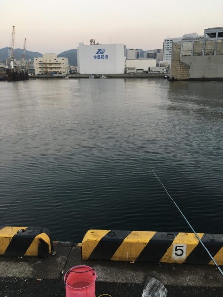 タチウオ釣りリベンジ