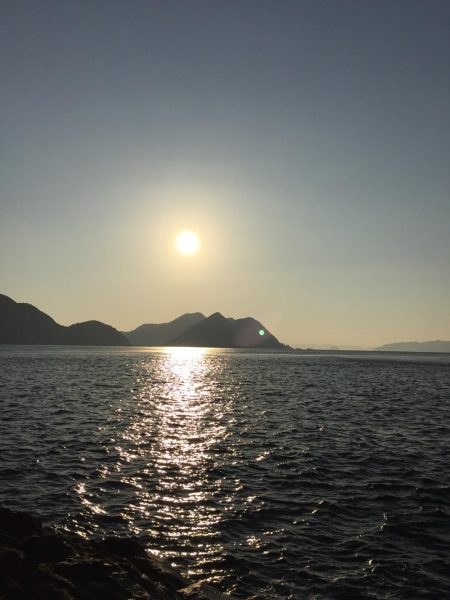 青物は遠い。。。