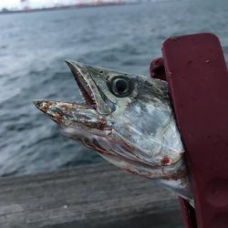 豪雨、爆風…  釣果は？