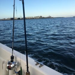 ボートでユラユラ太刀魚狙い
