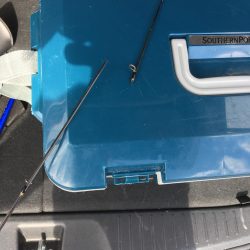 不幸からの釣果