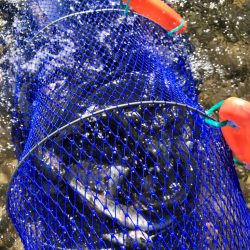 北方 マス釣り体験所