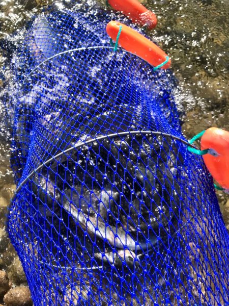 北方 マス釣り体験所