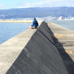 タチウオ時合い