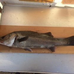 ああ、遅刻です。、