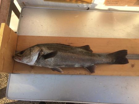 ああ、遅刻です。、