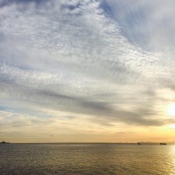 何とか絞り出した一杯