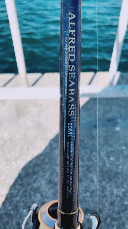 ナブラボーズに外撃ちサゴシ♫